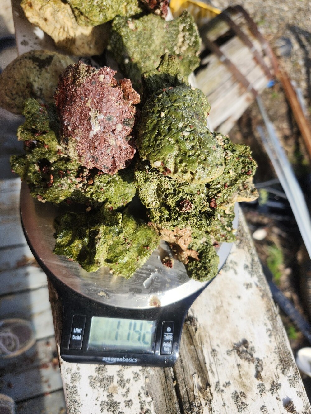 Fiji Dry Base Rock for Saltwater Aquarium Setup Natural Reef Rock Aquascaping